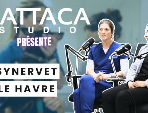 Gattaca Studio Présente – Synervet avec les Docteurs Lefebvre et Simmenauer